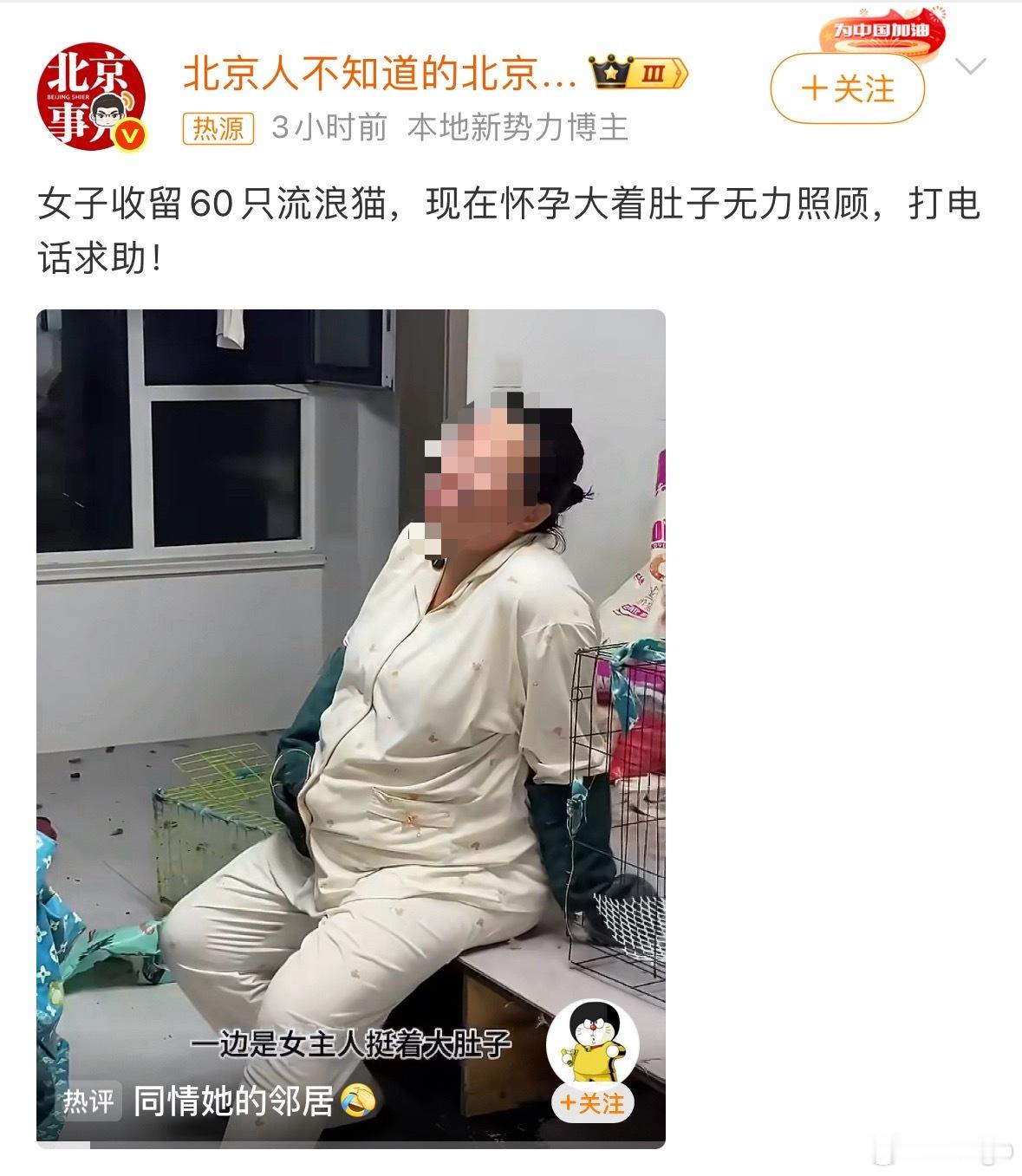 女子收留60只流浪猫隔着屏幕都闻到臭味了.....