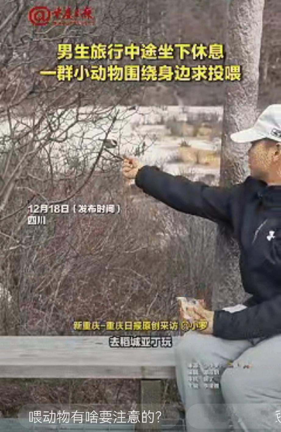 “解释不清了！”四川，一男生去稻城亚丁旅行，中途累了坐下休息，没想到，刚坐下不到