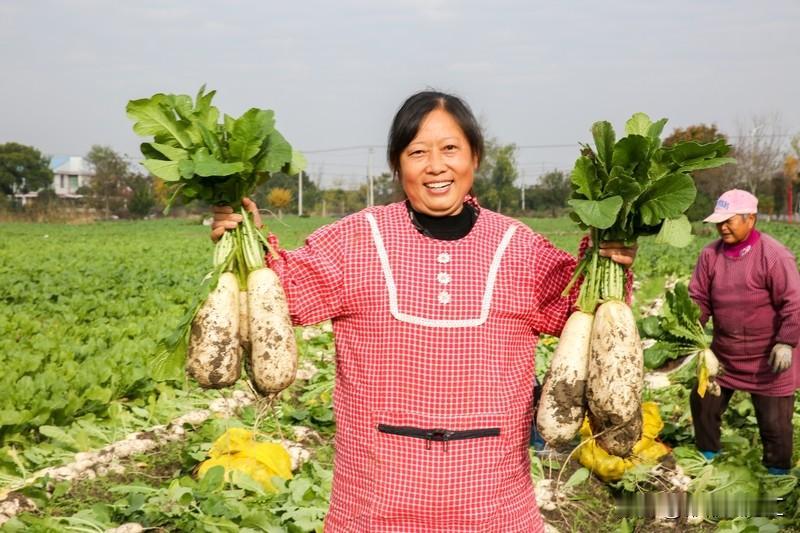 白萝卜确实有一定清肺润肺的作用。从中医角度看，它味辛、甘，性凉，能入肺经，可清热