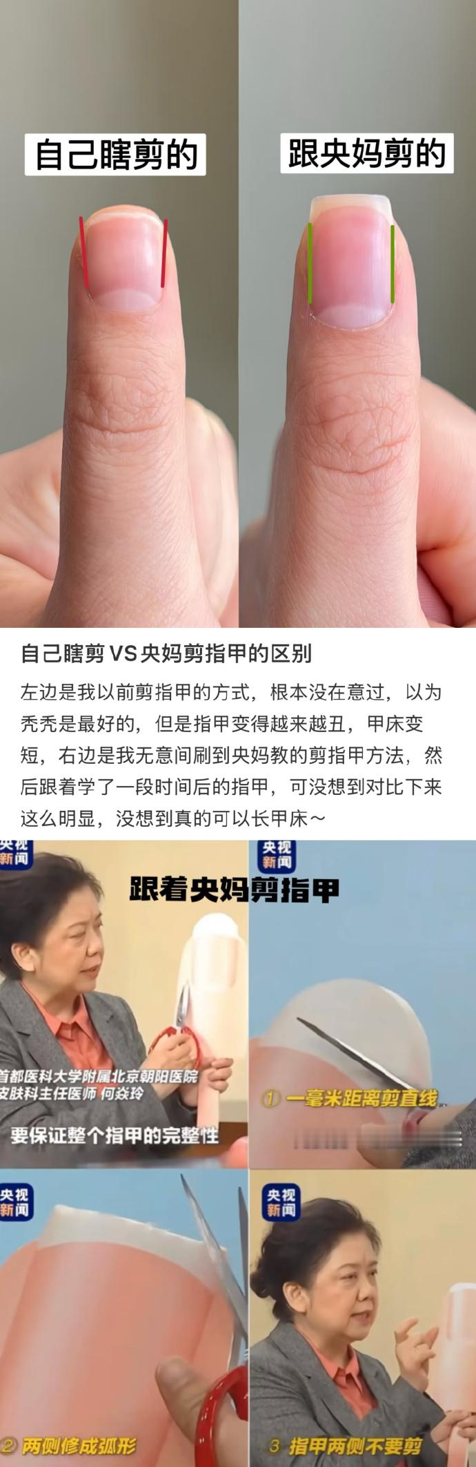 中国网友的冷知识永远不会让我失望