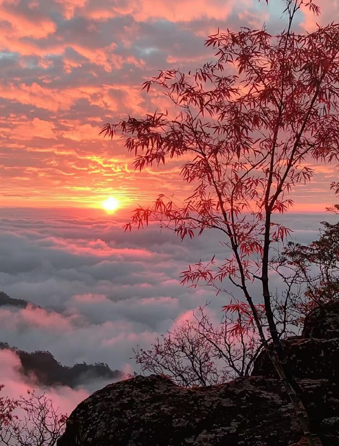 男人过了45，基本上跟儿子的关系是这样的：1，白天是父子，晚上是路人。2，两