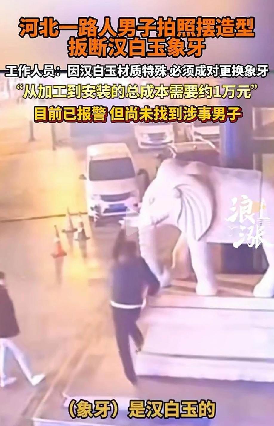 这就是手欠的下场！河北沧州，男子看到酒店门口的石雕大象不错，于是凑过去拍照，为了