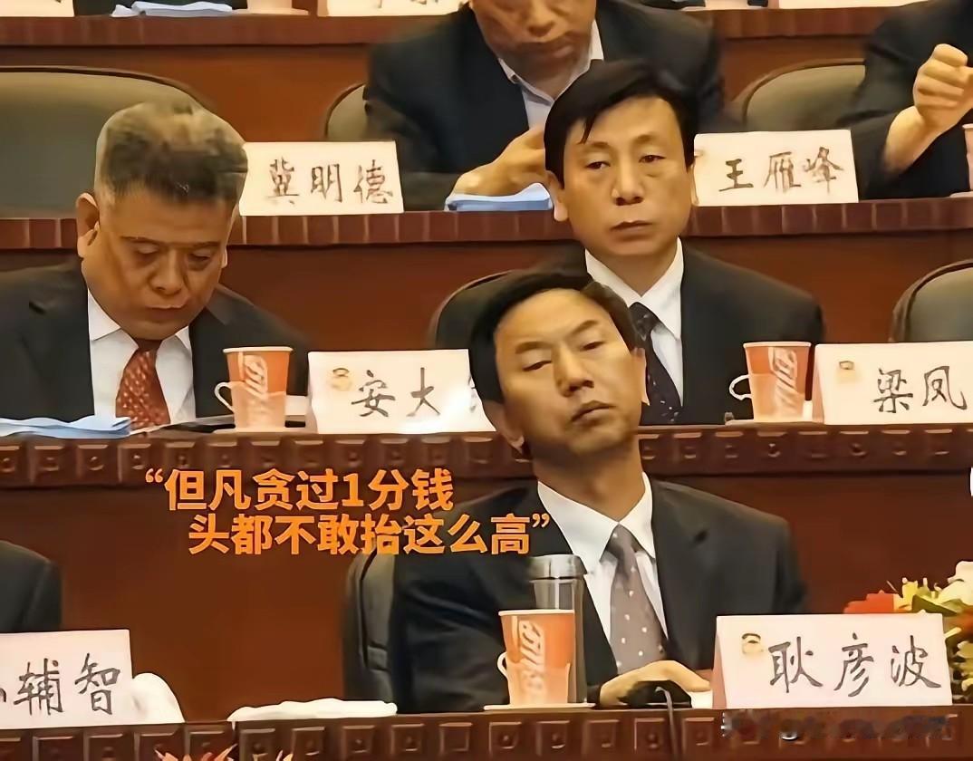 画面里，耿彦波端坐在会场，神态坦然自若，周身散发着刚正不阿的气场。他深耕地方多