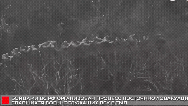 一大群乌克兰军人在米尔诺格勒地区向俄军缴械投降！俄国防部发布了一段视频，一大