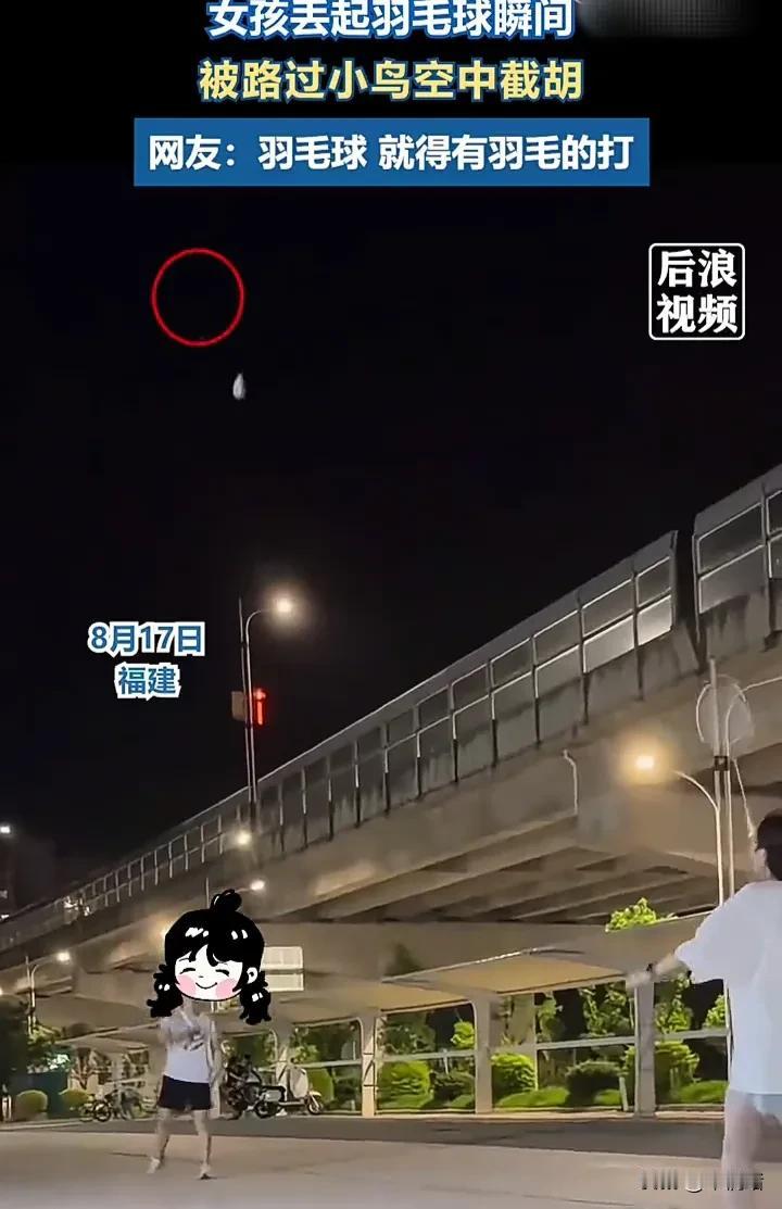 太倒霉了！8月17日，福建两个女孩在户外打羽毛球时，刚把羽毛球扔起来，就被一只小
