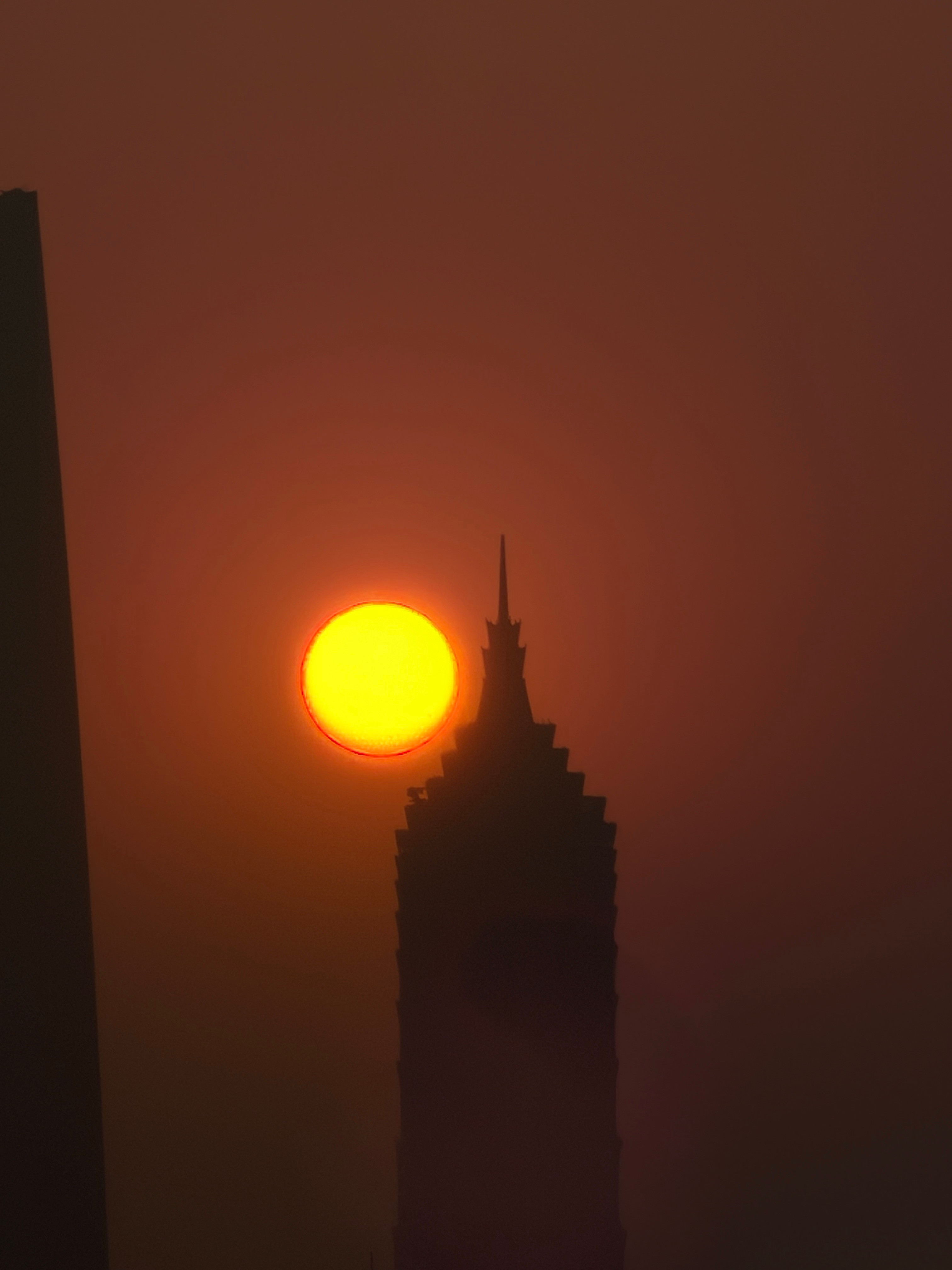 去了一个好看的家做客❤️