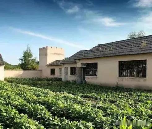 农民想要提高养老金，城镇里人谁不想提高养老金？别看那两三千块养老金，其实根本不顶