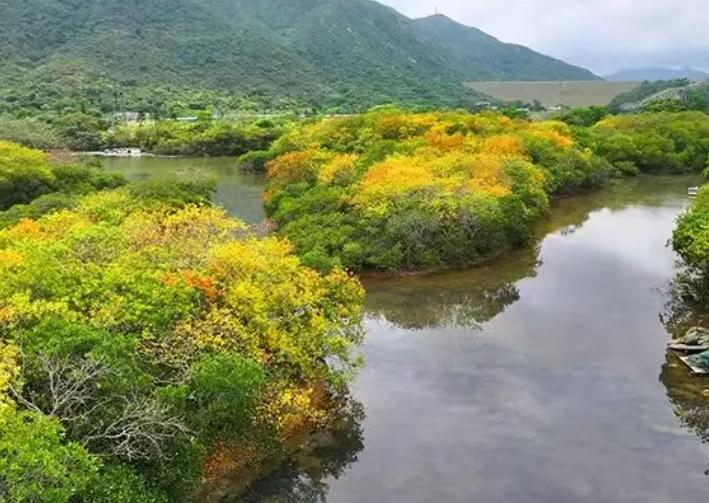 跨年夜的钟声本该承载着对新年的期盼，江西南昌进贤产业园内，一场突如其来的悲剧却将