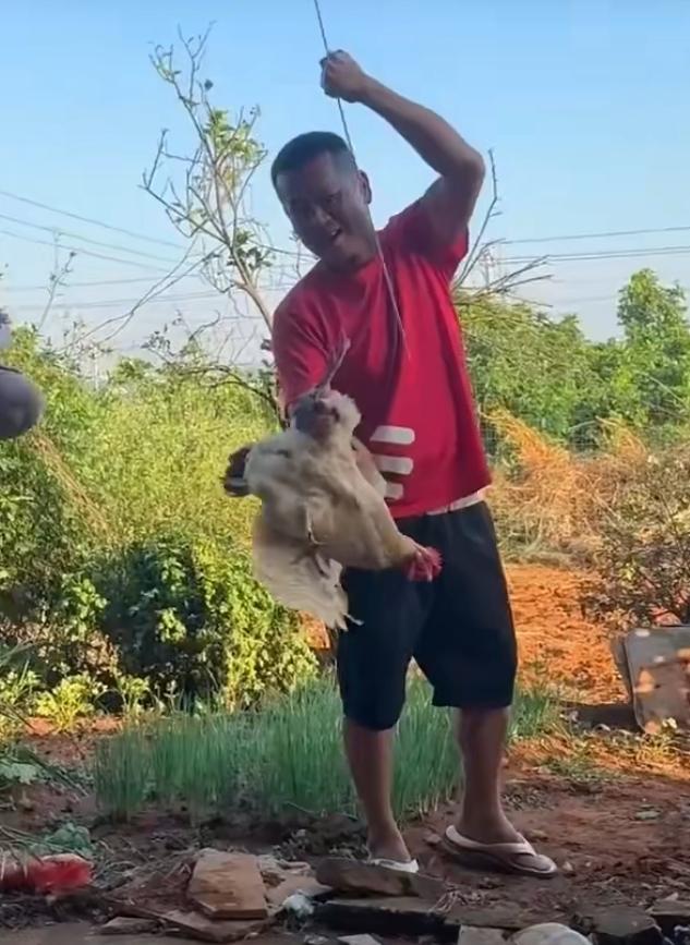 世界冠军过年，也只有全红婵痴迷吃白斩鸡。其他冠军不是广东人，估计对白斩鸡没有兴趣