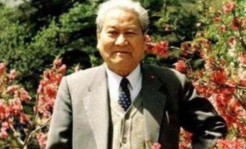 三峡大坝动工之际，清华教授黄万里拼死阻拦却未被采纳，数十年光阴流逝，他昔日担忧的