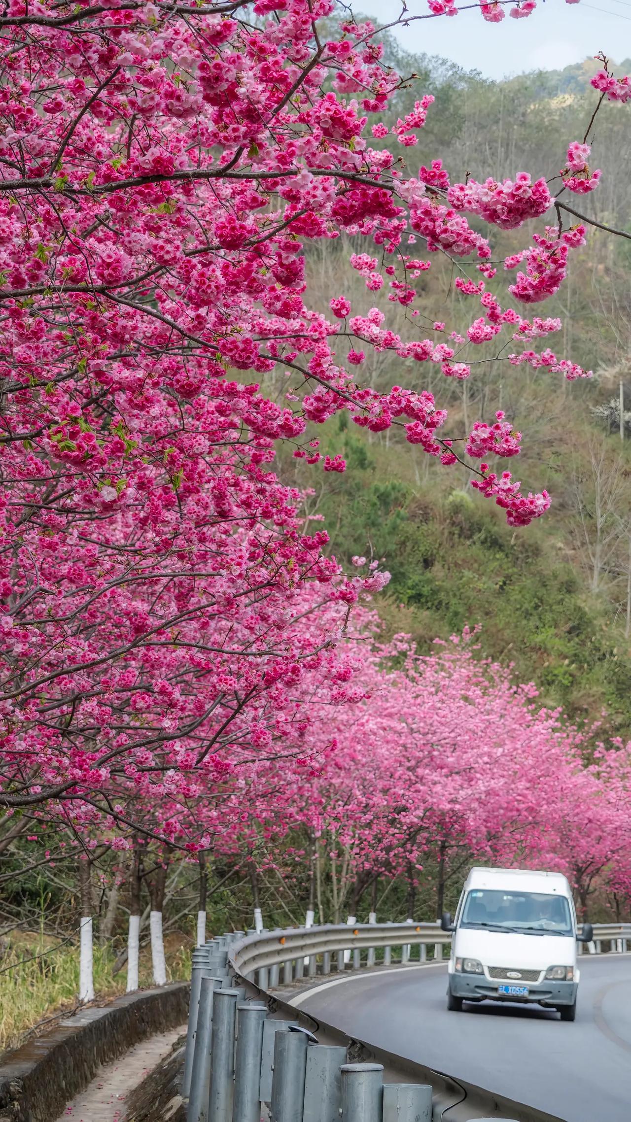 发人深省的话：混得不好的人，大多是回避型人格。这类人最大的特征就是：怕。害怕抛