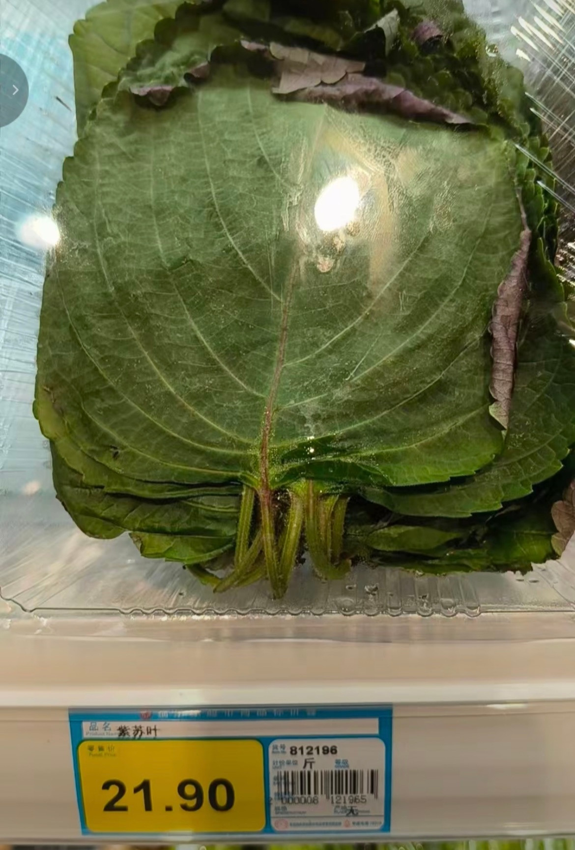 果然还是大城市机会多啊🤣👌别以为进城了就不认识你了