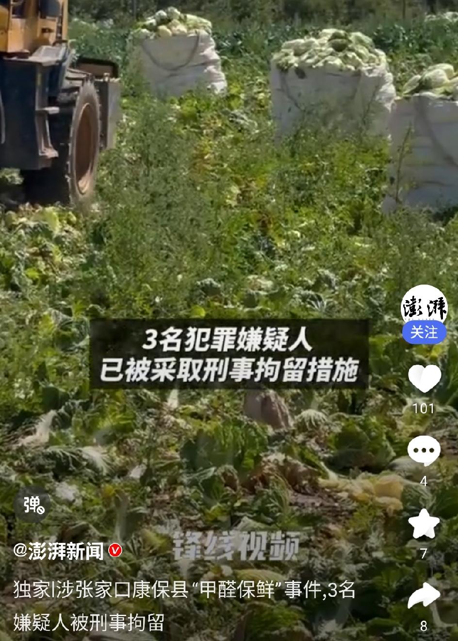 张家口“甲醛白菜”被抓的三个人，可能面临这三种下场。第一，轻则坐牢，重则无期
