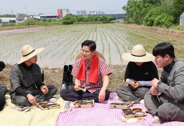 金文洙模仿朴正熙，挥草帽插秧喊口号激发保守怀旧情绪国民力量党总统候选人金文洙