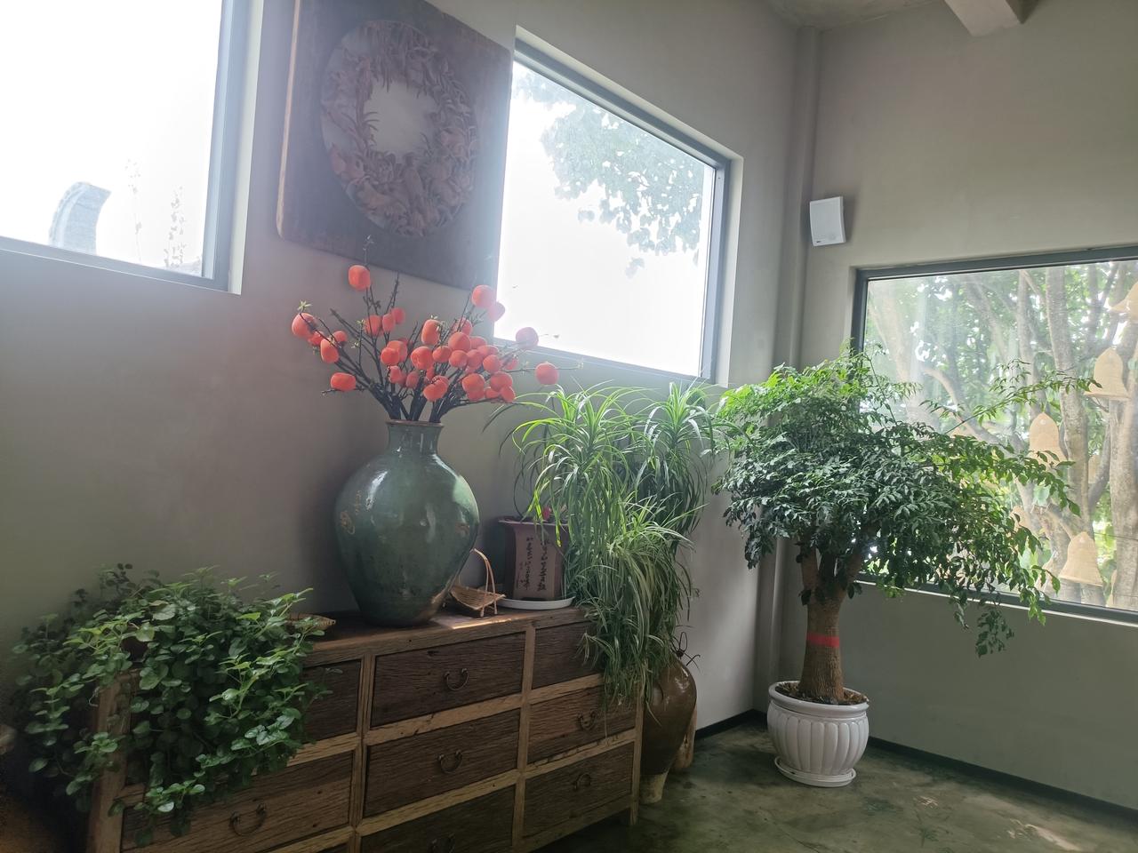 云南大理的风景,你们想去吗?