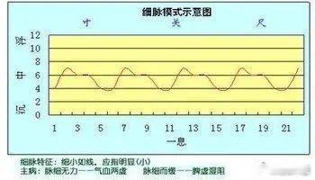 中医脉诊：“细脉”主病：“细脉”是指患者脉相，细如线而应指明显。细脉又称小脉。其