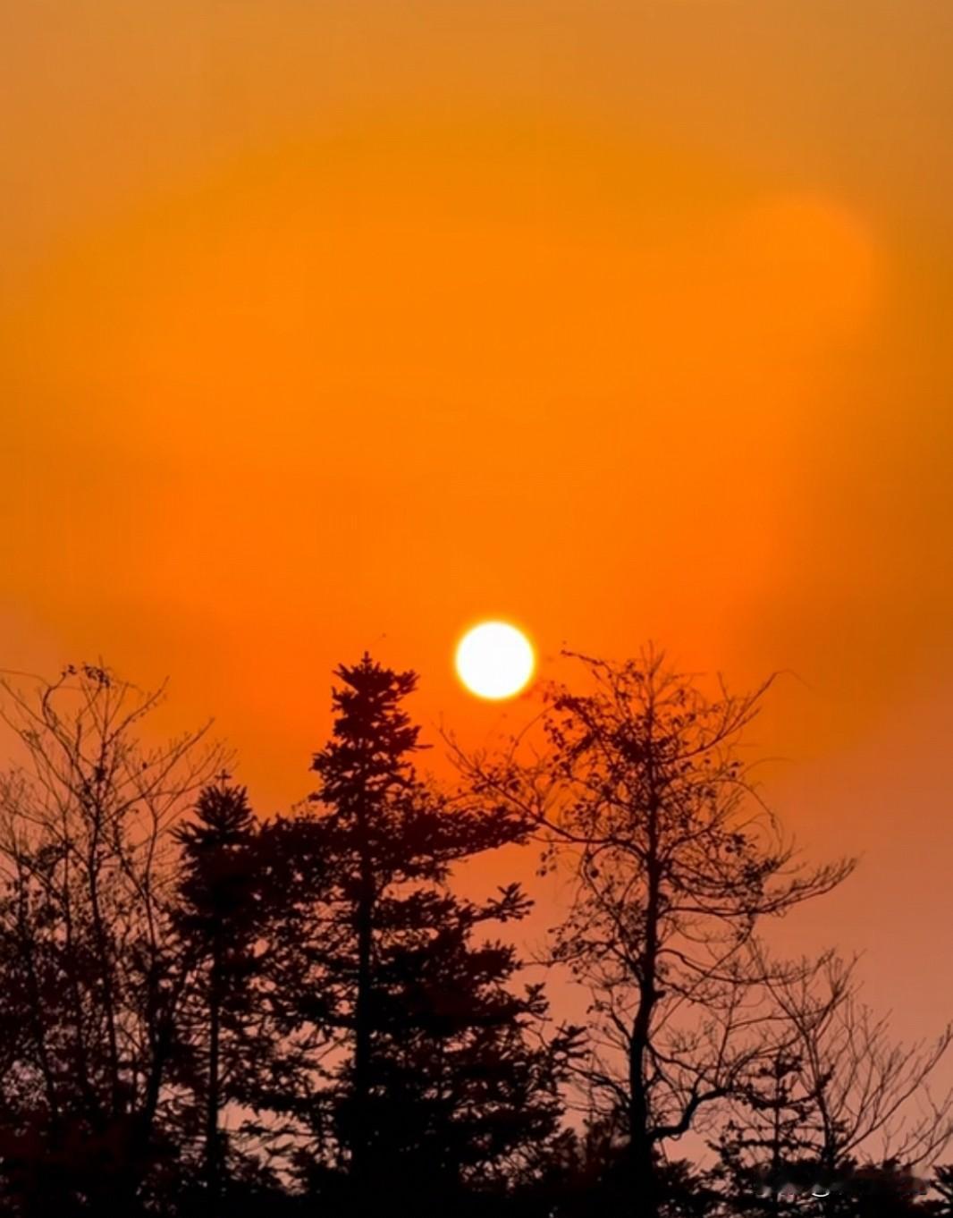 最危险的时候快要来临，你做好准备了吗？封锁消息，枕戈待旦。战斗时刻打响。我国