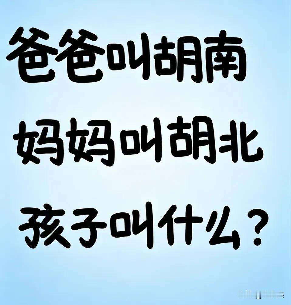 小孩的爸爸叫胡南，妈妈叫胡北，你们觉得小孩可以叫胡什么？