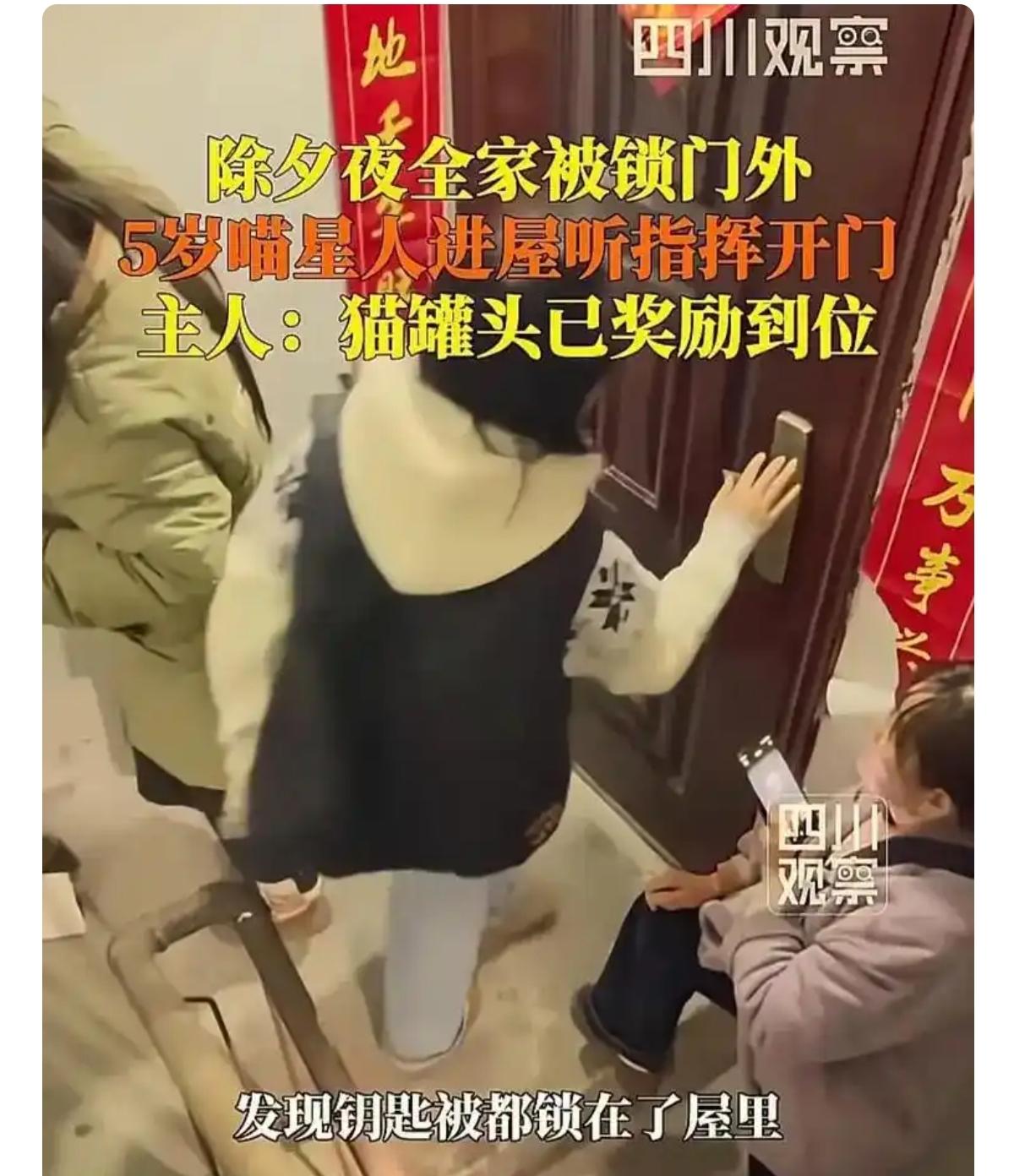 大年三十晚上，湖北陈女士一家算是遇上“神迹”了。本来高高兴兴出门吃年饭，走到