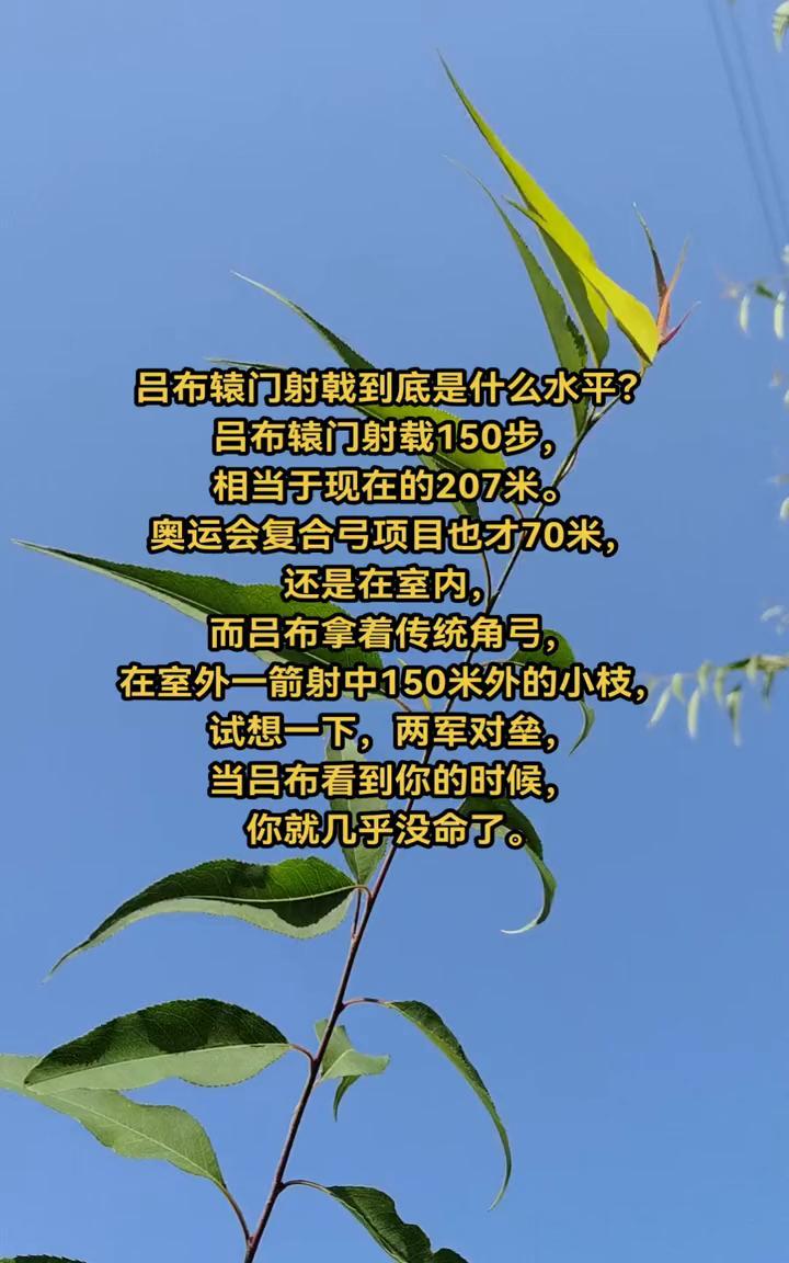 吕布辕门射戟到底是什么水平？吕布辕门射戟150步，相当于现在的207米。奥运会