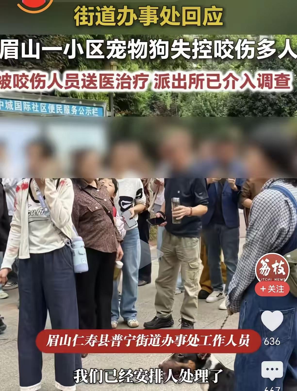 现在的人都被整怕了，怕摊上事，怕赔钱，换以前2000年以前，这狗当场就被一棒子敲