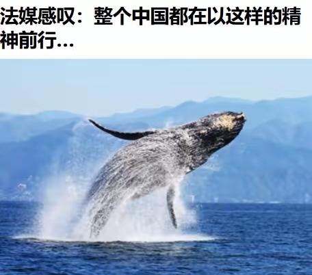 法国《世界报》刊文称：“整个中国，现在都在以一种‘你封我，我就自己造’的精神前行