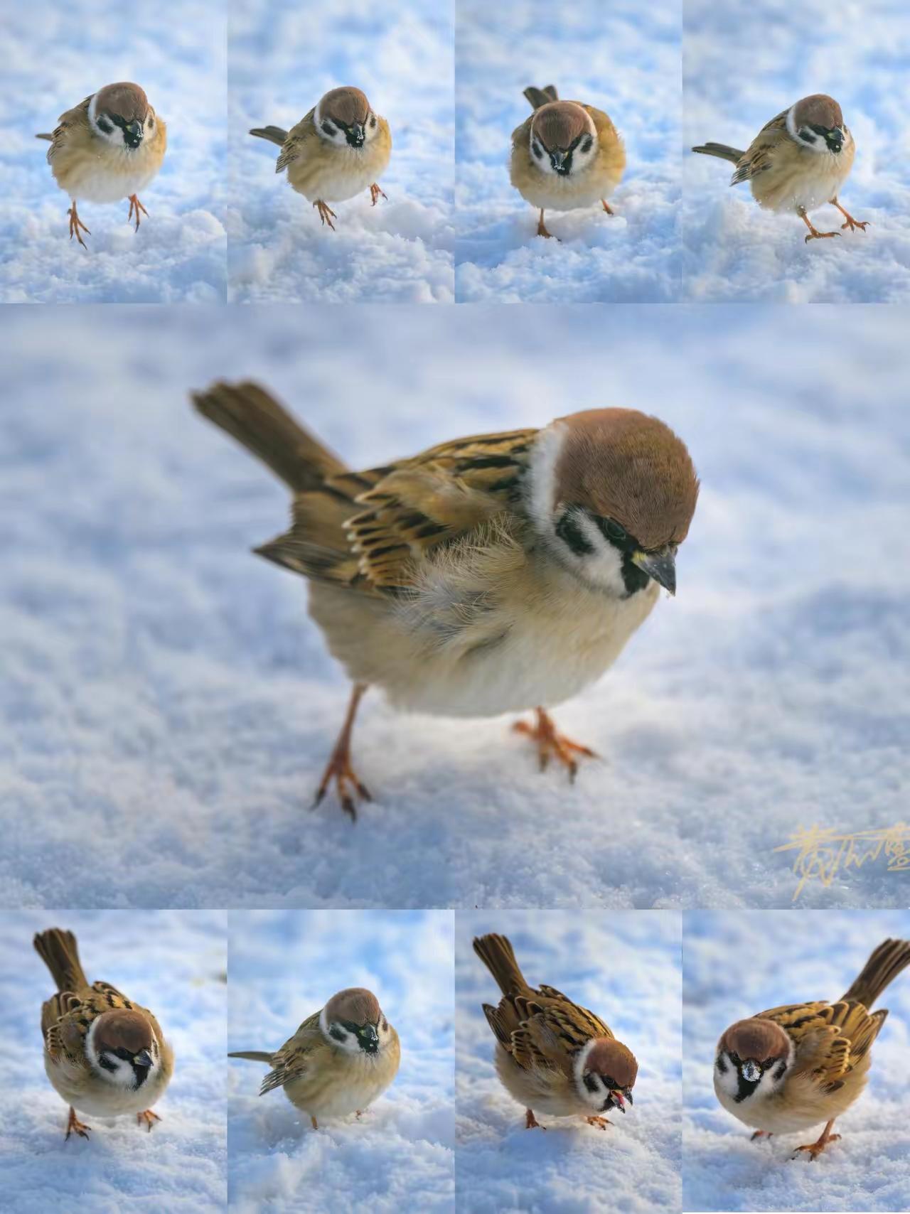 办理银行销户也遇怪事！退休后，除留两张平时常用的银行卡外，把长期不