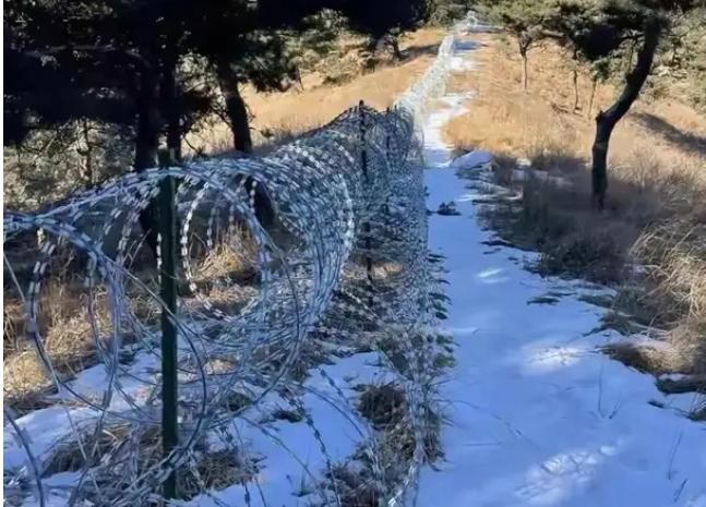 耗资两千五百多万修起来的泰山刀片防护网，如今全线拆除，这笔天价开销最终只换来一次