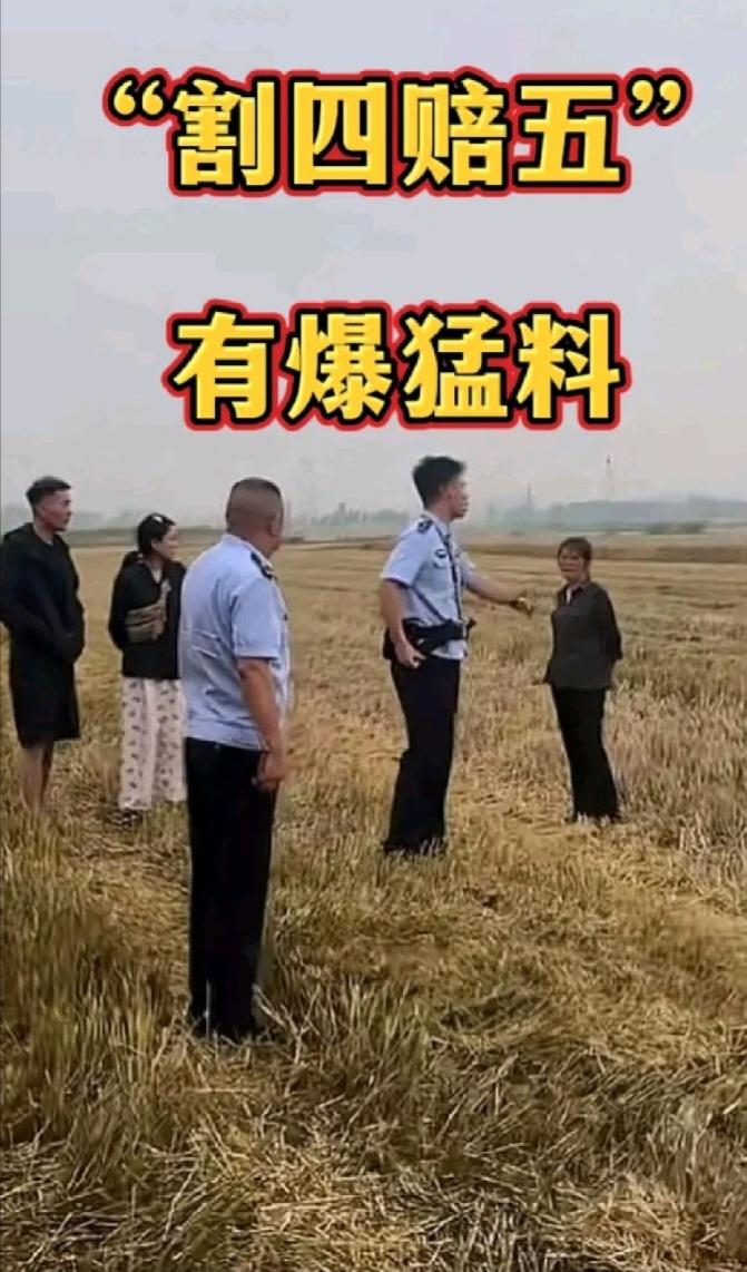 境外势力可能在拼命拱火湖北襄阳的割四赔五，如果境外势力花一百个W买通足够的博主，