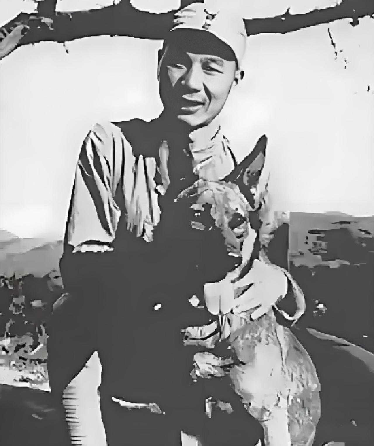 1939年秋天，部队端掉一座鬼子炮楼，缴获了一头德国狼犬。这种狼犬在当时的华北战