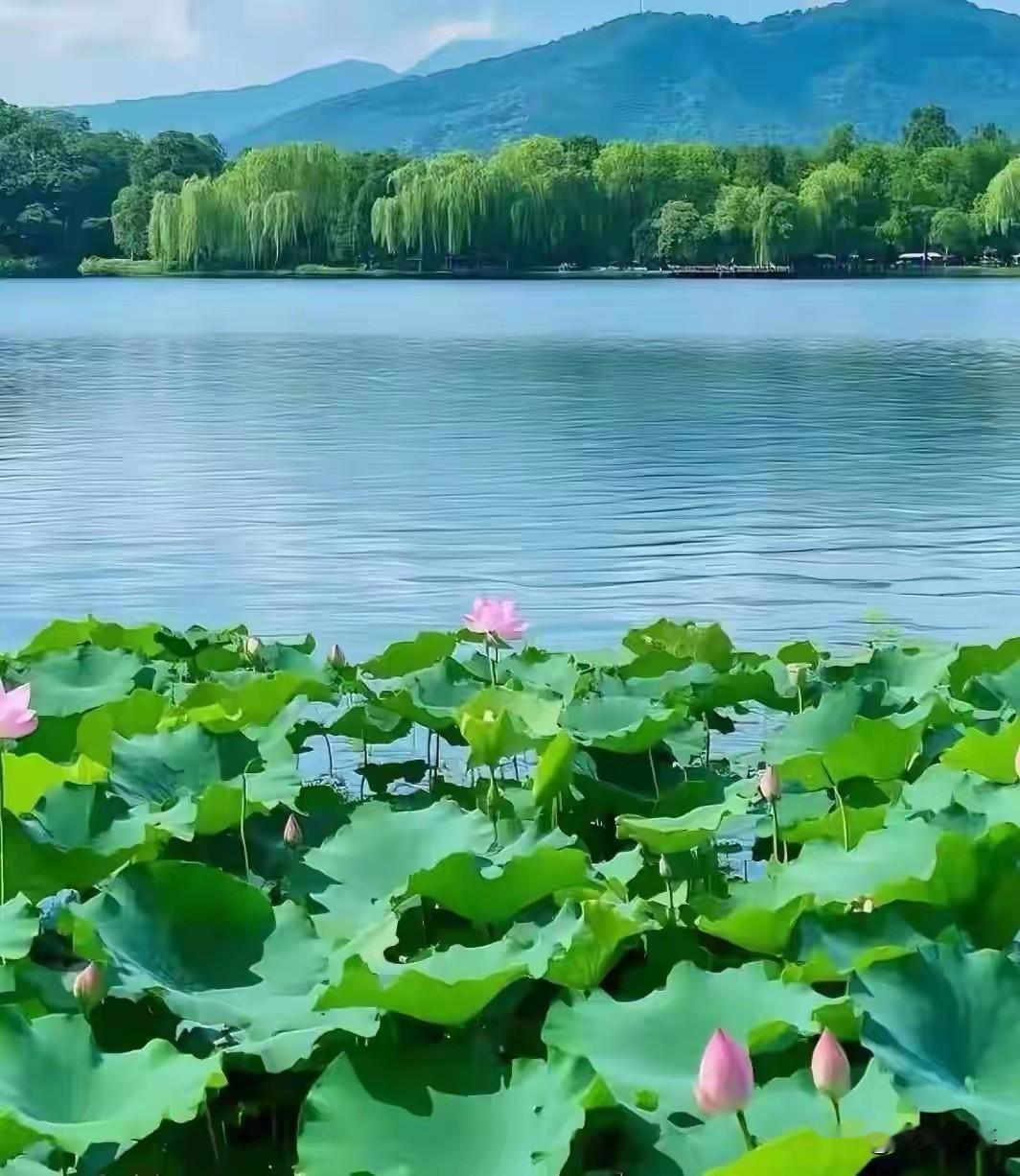 七言绝句·夏日骤雨初晴一番急雨匆匆过，一席清荷滚滚波。一片蛙鸣声阵阵，一丝蝉