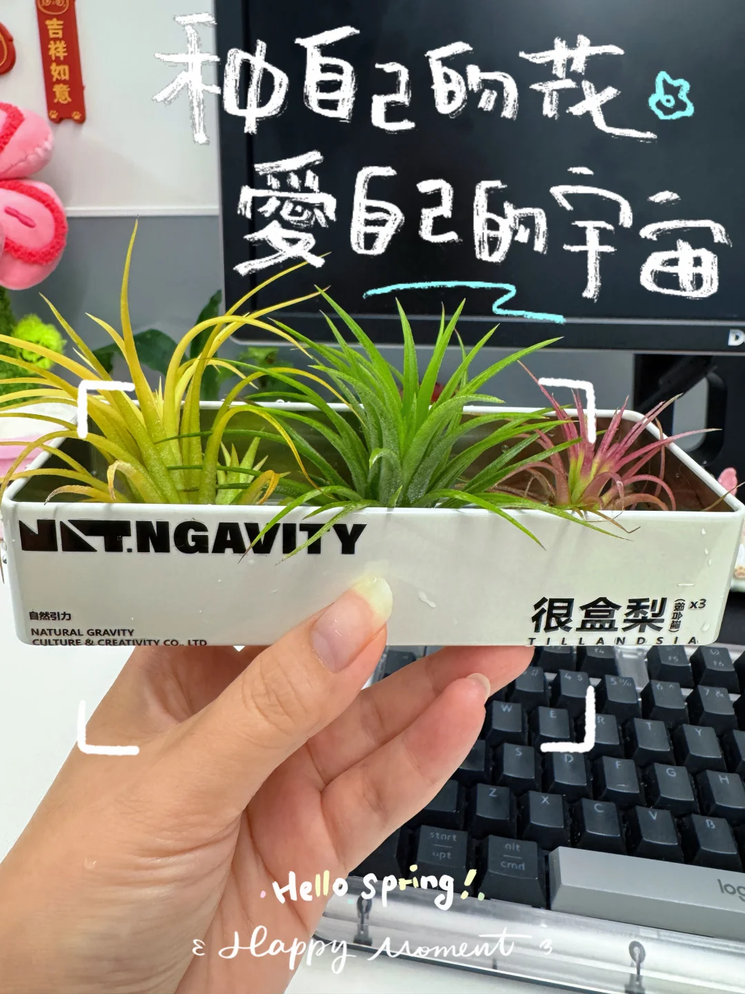 办公桌到底要怎么布置