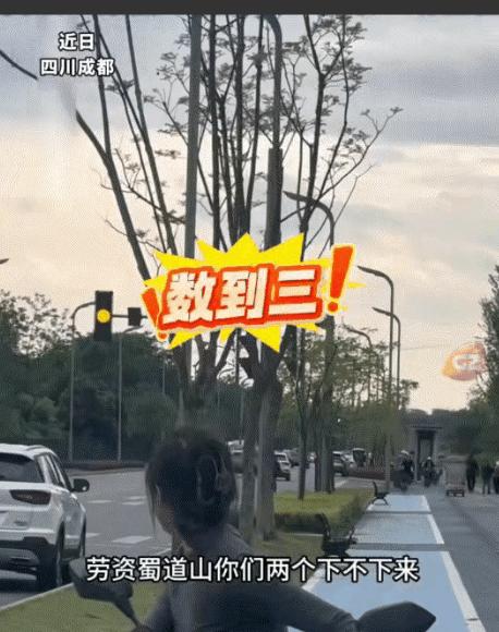 真是一物降一物！四川成都，一女子带自家两只鹦鹉出门撒欢，没曾想回家时俩鸟玩疯了，