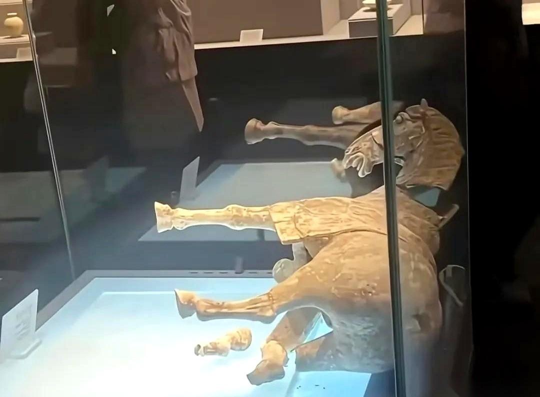 洛阳博物馆那匹唐代的马，就这么碎了。在展柜里，安安静静，自己碎的。2024年