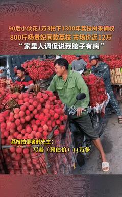 ☔“赚大发了！”小伙1.3万拍下1300年杨贵妃同款荔枝树采摘权，被嘲“脑