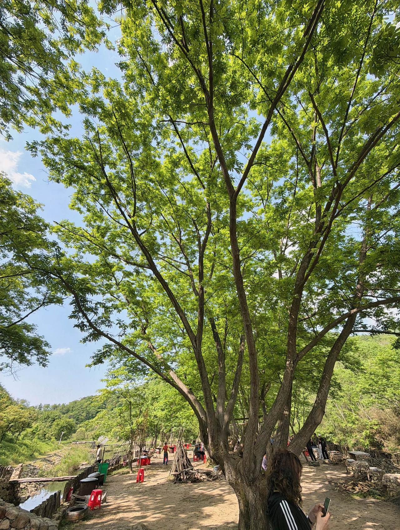 我发现一件很有意思的事。真正想惩罚一个人，根本不用大吵大闹，更不必卑微讨好。