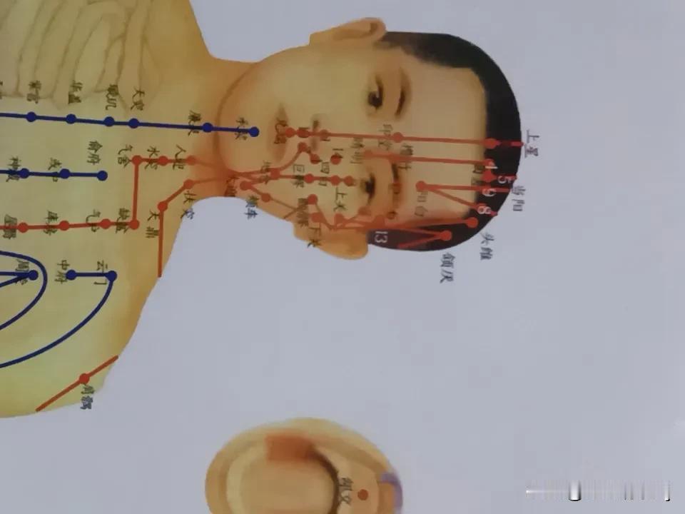 头部上有、正经经络交汇，手三阳、手三阴，足三阳，足三阴，加上背部督脉，前面部的