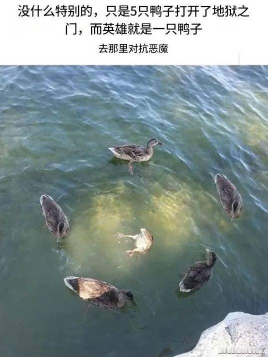 什么环太平洋​​​