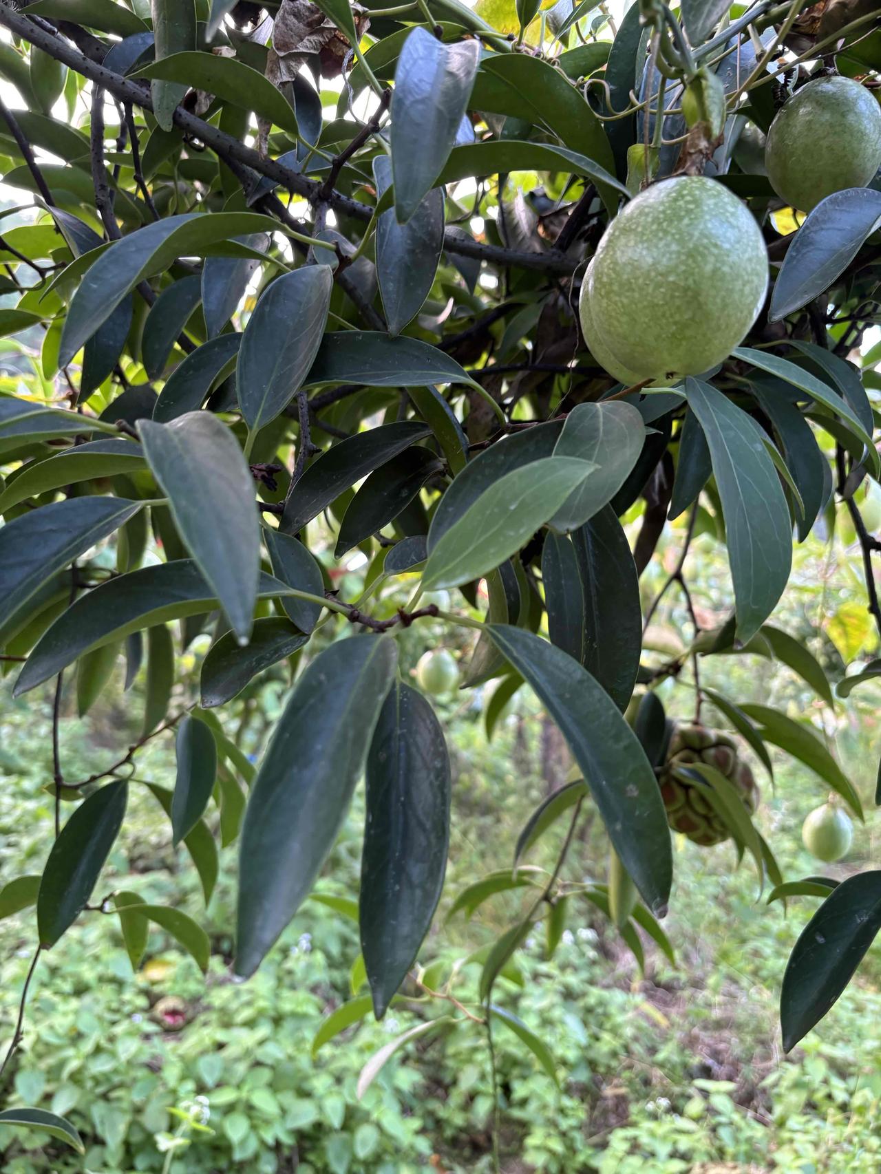 校长还是不要选择进取心太强的老师当中层干部！有一个校长喜欢选择进取心很强的老师