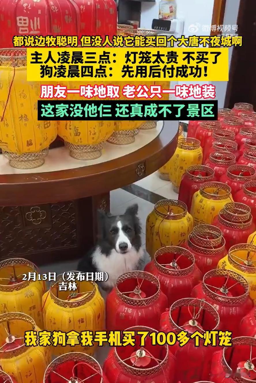 笑不活了！吉林，女子半夜刷手机想要买点灯笼，选来选去觉得300块太贵就睡觉了，不