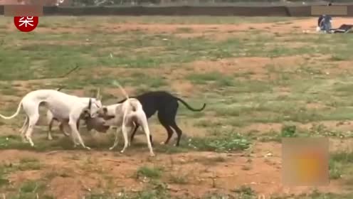 17624938032083277873.jpg?id=0