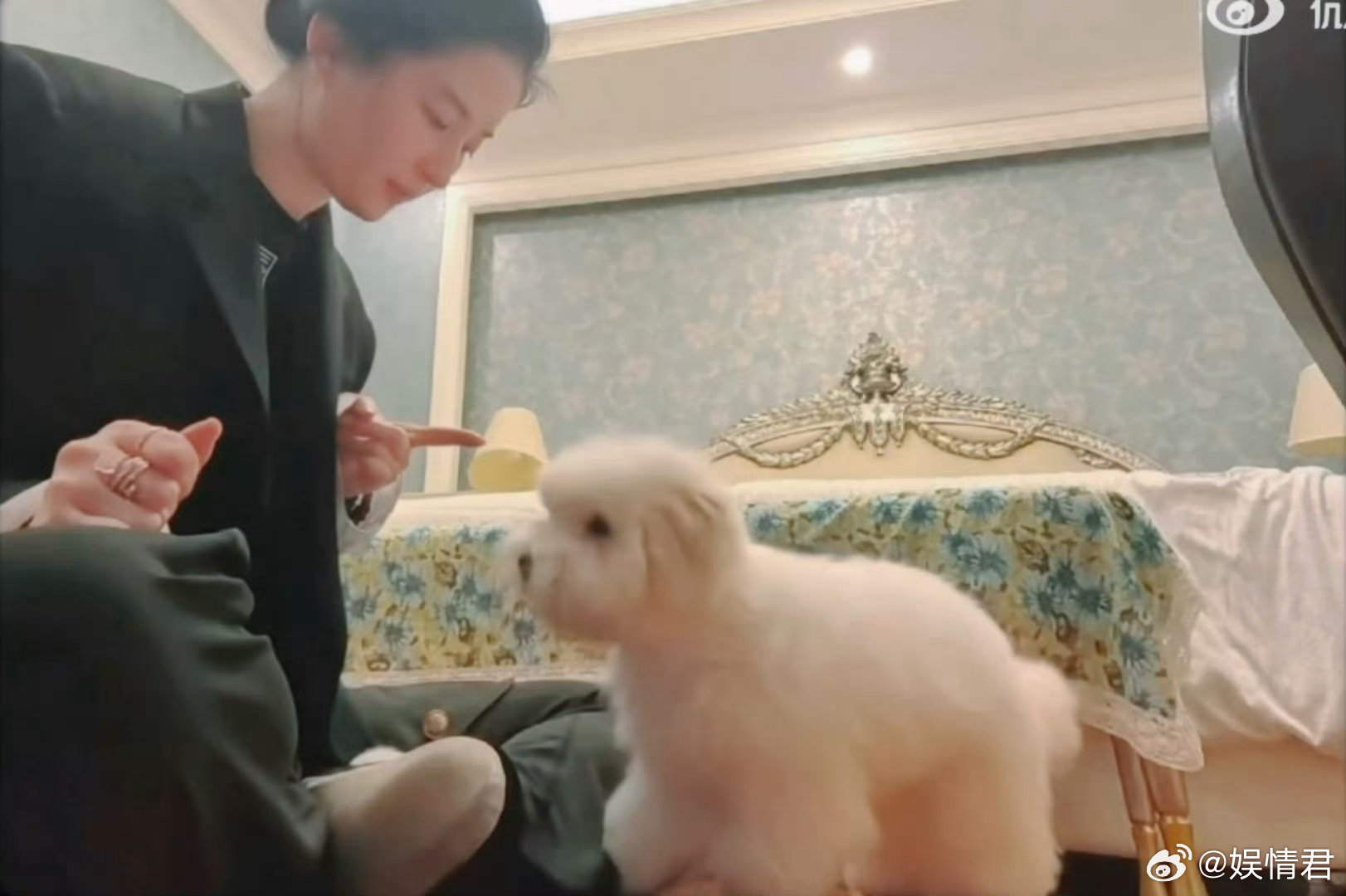 被刘亦菲偏爱是什么体验被刘亦菲偏爱是什么体验，好狗狗！好狗狗！刘亦菲这里也有个狗