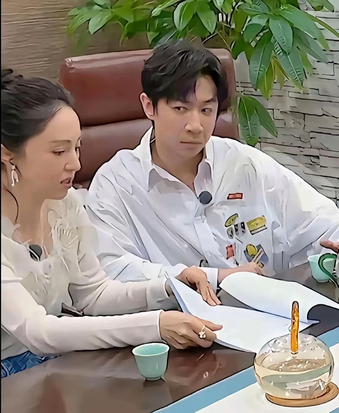 董璇对张维伊说：“如果为了生baby，我不工作了，你不仅要养我和酒窝，还要养我爸