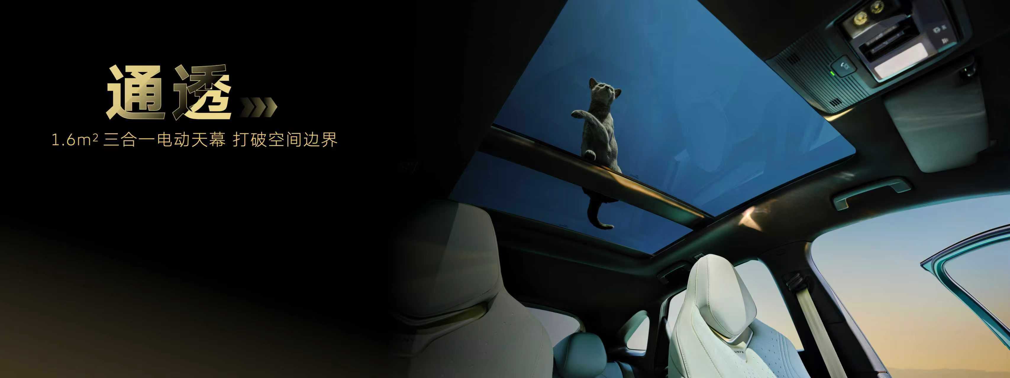 现在电动车的脸真的太容易撞了，直到看到与众07。不跟风做圆滚滚的低风阻造型，反而