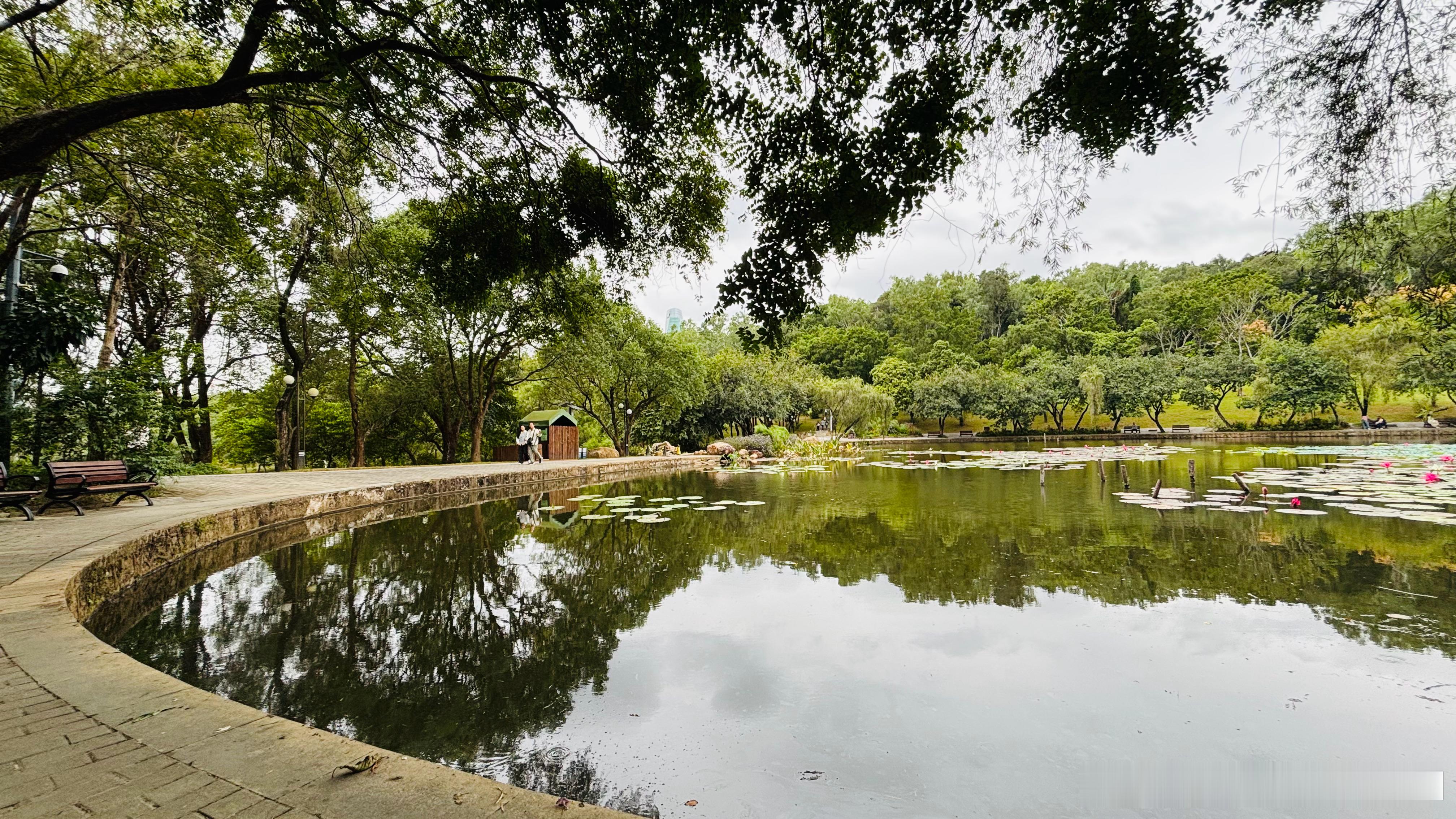 马伊琍当初和《繁花》剧组传不和，现在看哪是闹矛盾，分明是提前看清形势！剧播后她极
