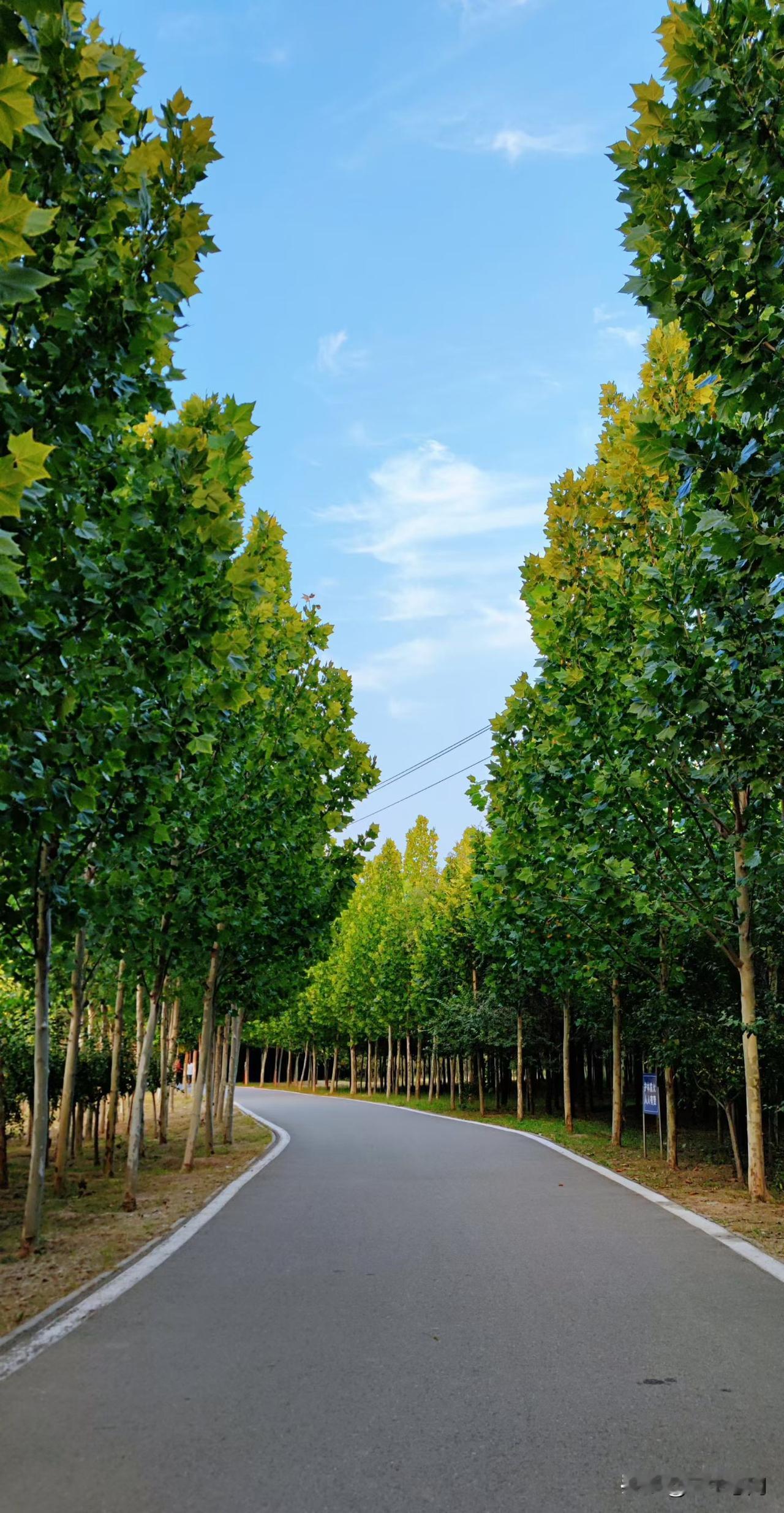 一位老教师说：“年龄越大越会明白，人生的长度，长不过春夏秋冬；人生的宽度，宽不过