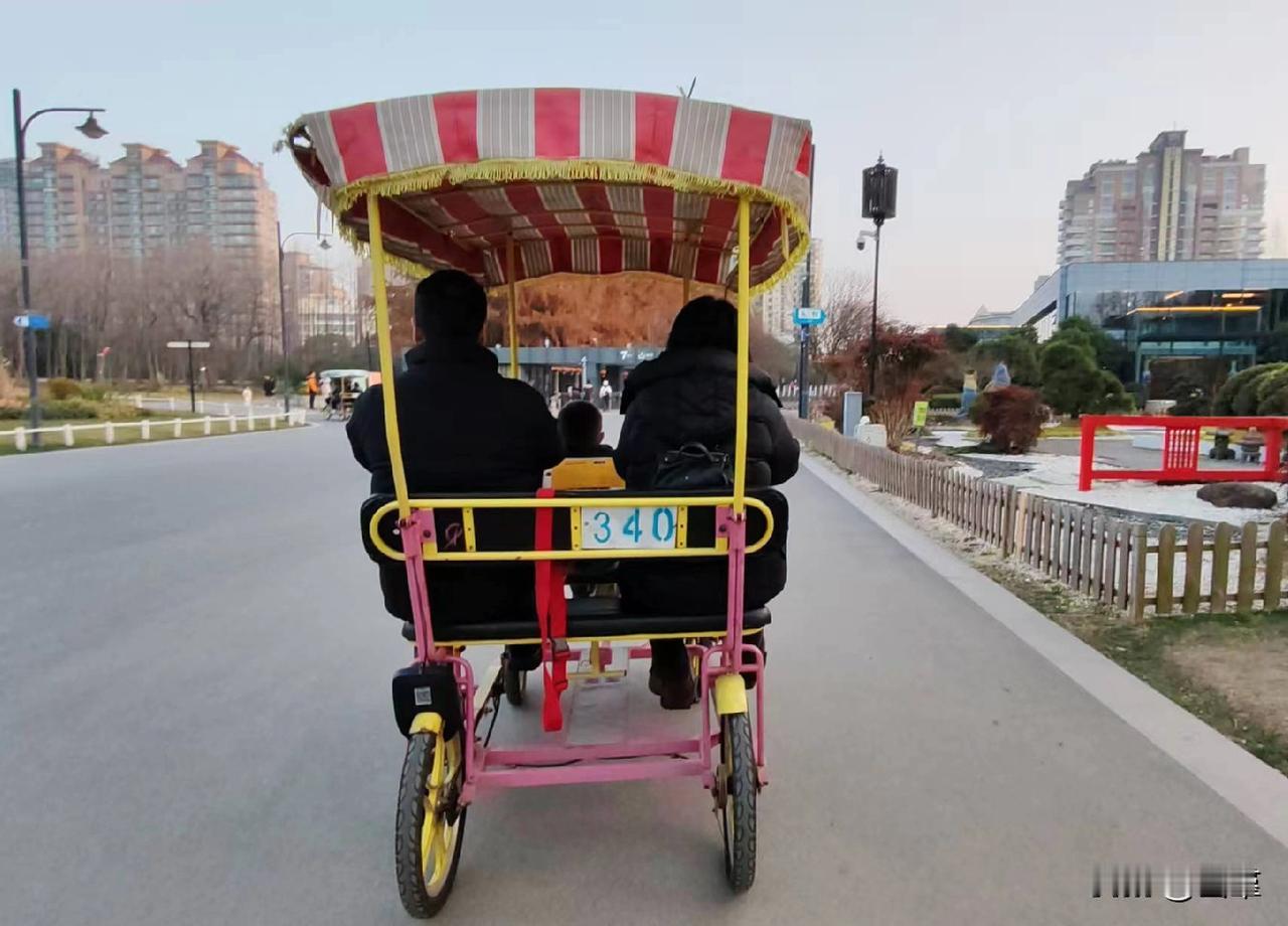 在公园租个三轮自行车也挺贵，大的要120元一小时，小的是60元一个小时。看几个