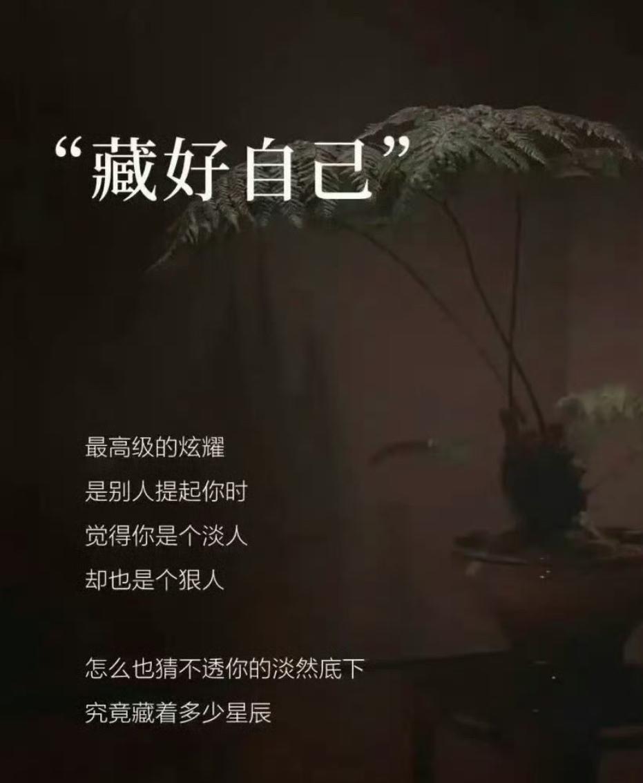“藏好自己”最高级的炫耀是别人提起你时觉得你是个淡人却也是个狠人怎么也