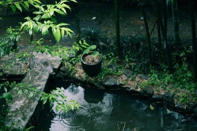 【心在旅行】愁兼杨柳一丝丝客舍江南暮雨时…………