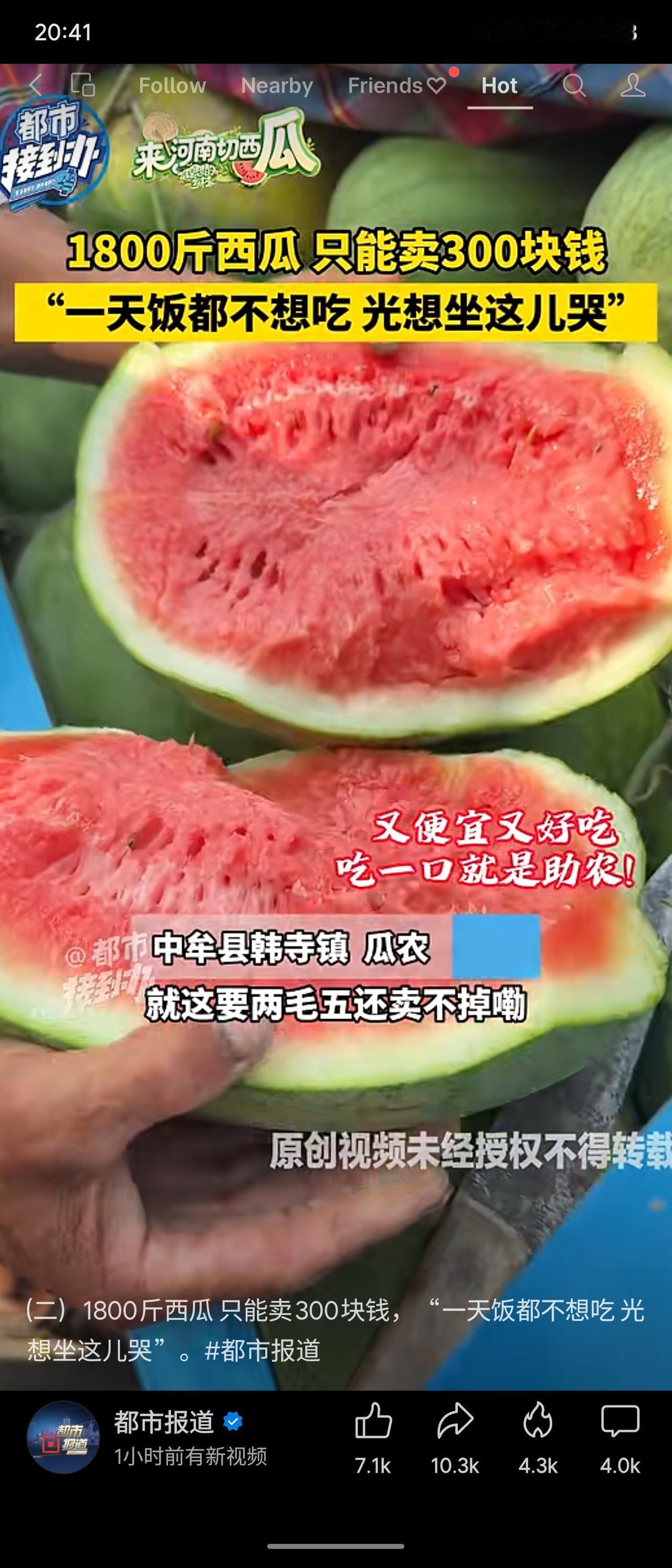 河南中牟县瓜农拉1800斤西瓜，只能卖300块钱，合每斤不到两毛钱。瓜农伤心地说